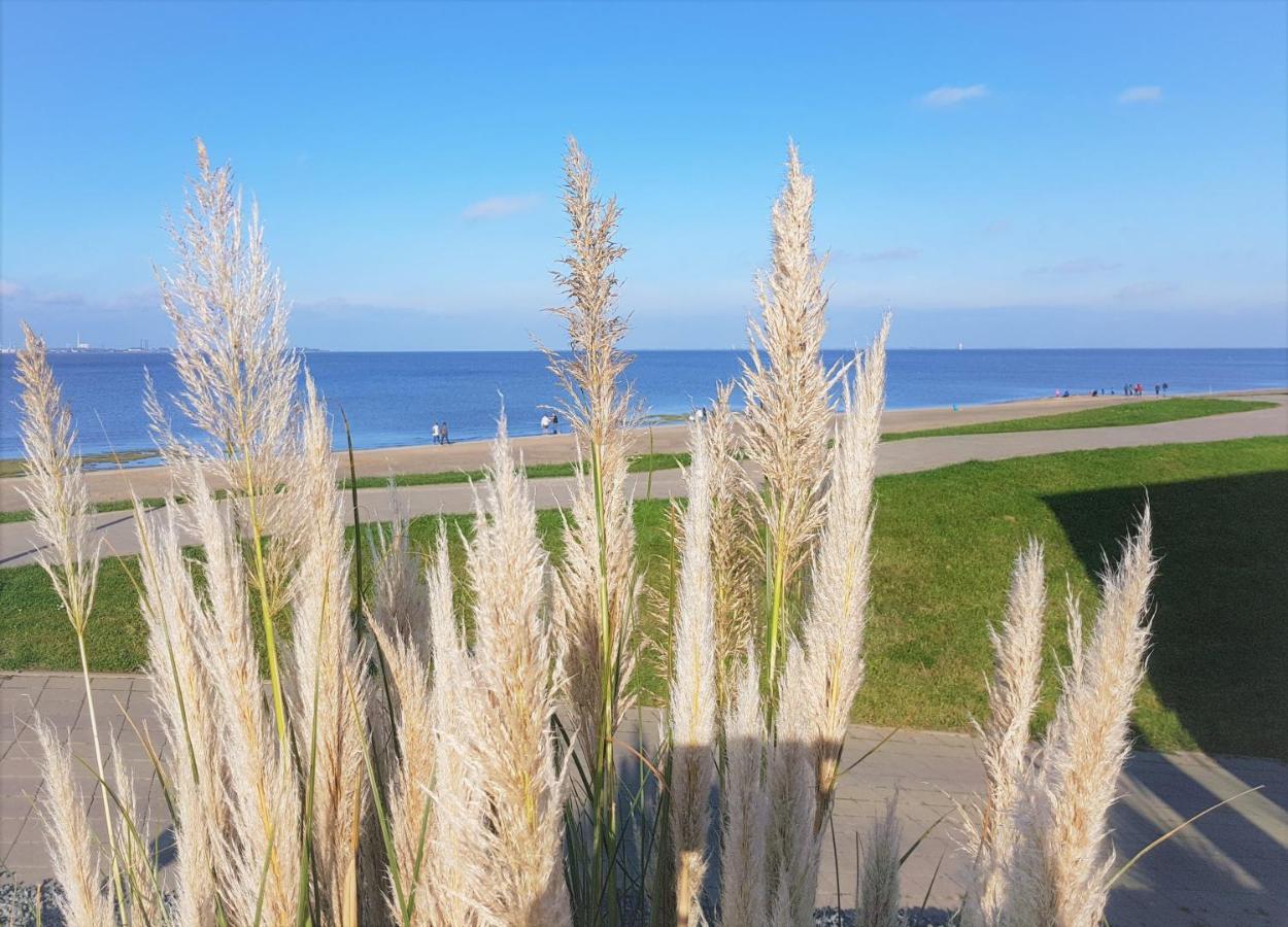 Apartment Jadestrand, Am Alten Deich 4-6, Whg 1 20 Dangast Buitenkant foto